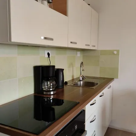 Apartma Salvia-Guest House Lucija Exterior photo
