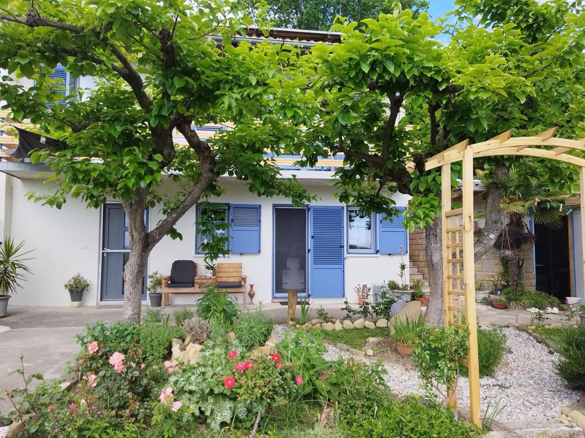 Apartma Salvia-guest House