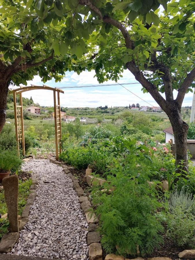 Apartma Salvia-guest House Apartment