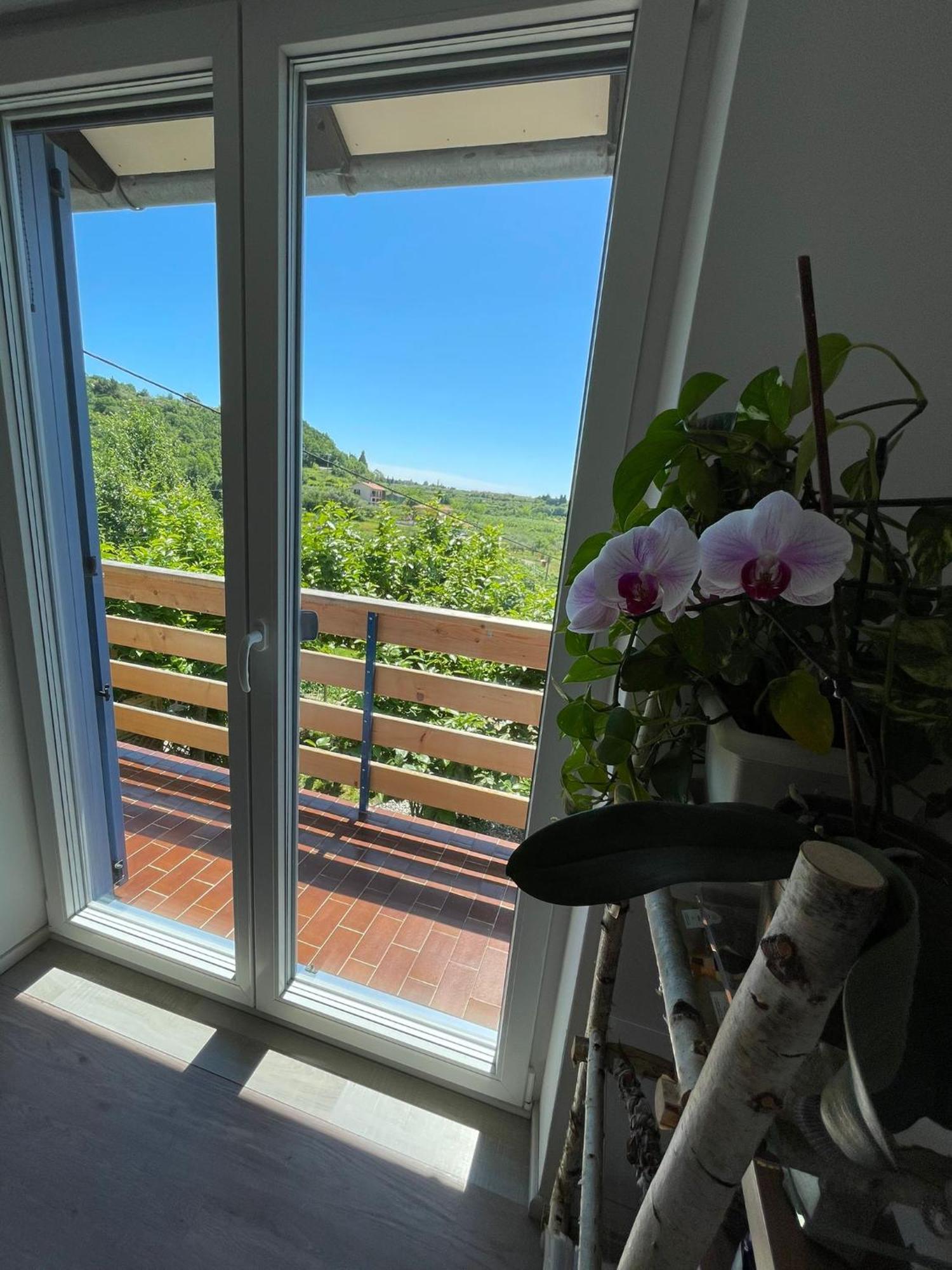 Apartment Apartma Salvia-guest House *